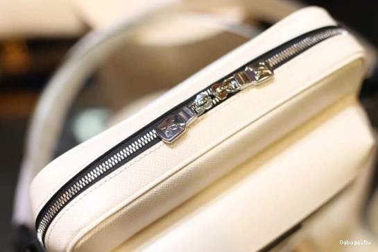 Vuitton Messenger Louis 0513